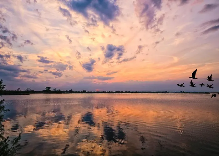 Gloria E02 Rosolina Mare